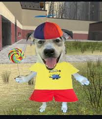 Meme of dog with propeller hat and lollypop