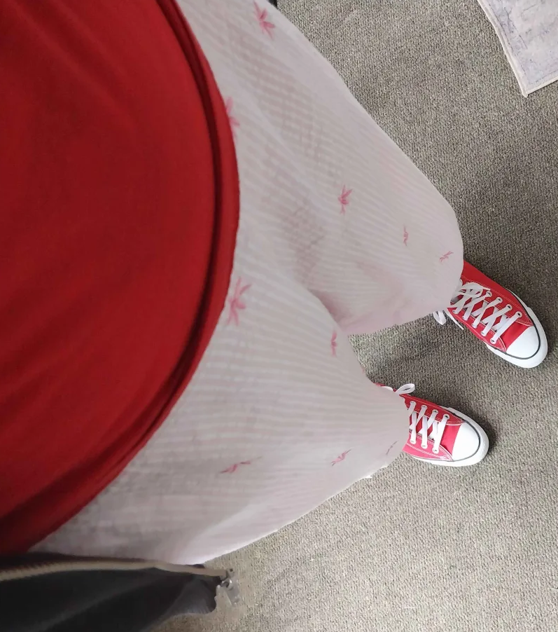 A photo of the body taken from a top down perspective with only the lower abdomen down visible, it's wearing a red shirt, black sweater, pink capris and red converse