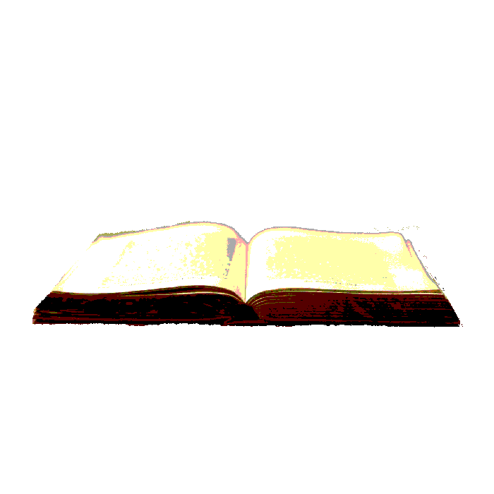 A choppy photobashed animation of a book.